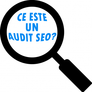 AUDIT SEO