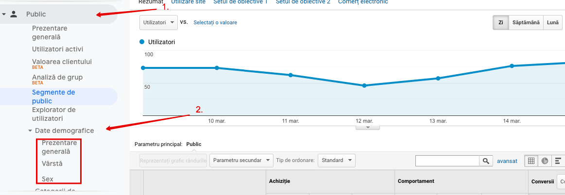 Cum sa identifici continutul potrivit pentru publicul tau tinta, cu ajutorul Google Analytics?