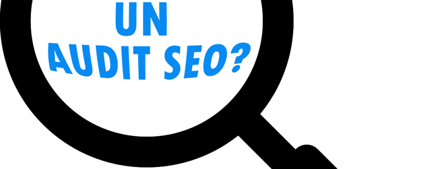 descrierea unui audit seo