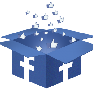 facebook-box-1334045_960_720
